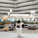 동동카워시 | 제주 파르나스 호캉스 포토존 다 누리는 법, 최저가 링크 공유