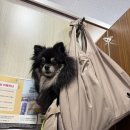 대명항_대명항화장실 이미지