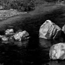 계곡의 아침 이미지