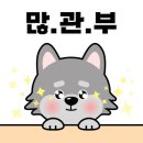 국가대표 차오름 태권도 이미지