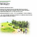 5.9~5.10 (1박2일) 금수강산 5월 정기도보 - 계절의 여왕 5월, 아름다운 보물섬...남해 바래길 이미지