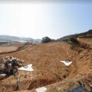 임마누엘축산 네이버블로그