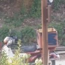 신비한 약초세상 이미지