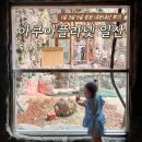 해달푸드 | 일산 아쿠아플라넷 아쿠아리움, 1살 3살 5살 방문 후기 (공연 시간, 입장료 할인 정보)