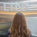 유니헤어보톡스 네이버블로그