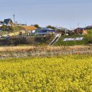 벌꿀모텔 이미지