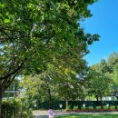 호서대학교부속유치원 이미지