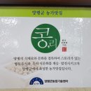 콩리 이미지