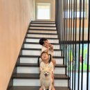 가평애견카페 리버뷰펜션 이미지