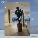 욤욤박스 | 다이소 진열 알바 후기