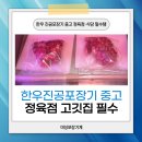 미성한우정육점