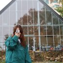 그림정원 이미지