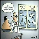 딸딸이네