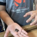 김포 자연 농장 | [경기 김포 체험] 김포곤충농장 자연생태체험 후기 🐞 곤충 + 공예 + 먹이주기 + 미꾸라지잡기까지...