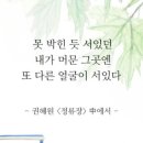 핑크스토리 - 진천군 중앙동6길 20 | 핑크스토리