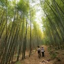 리틀-소프트볼구장 이미지