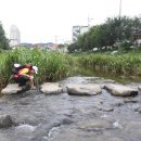 천성모터스