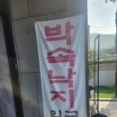 박속낙지 | 인천 계산역 여름 보양식 맛집 박속낙지 고파도 산낙지탕 후기 및 주차