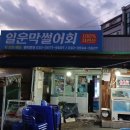 막썰어회 이미지