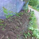 호장농장 이미지