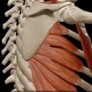 리미티드 짐 이미지