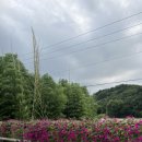 만복래숯불구이 이미지