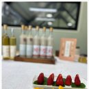 은가비송 이미지