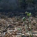 기곡 경로당 이미지