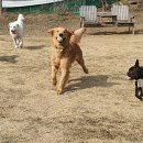 들어오시개 이미지