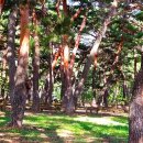 왕피천공원(동쪽) 이미지