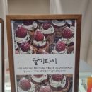쉘위파이