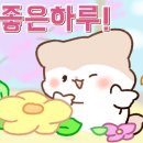 삼성토탈오에이시스템 이미지