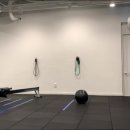 율 메디칼 이미지