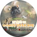 아가페식당 이미지