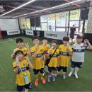 강원제이에스축구교실 | 아이와 함께하는 건강한 성장, 목포축구 교실에서 배우는 즐거움과 자신감
