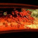 점핑오작교 이미지