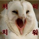 조개까는삼촌 - 철원군 | 조개까는삼촌