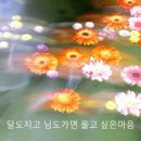 달님cafe