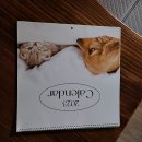 율전동물병원 이미지