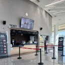 오싸이언스 | 경주 어린이 공연 추천/ 원더매직 오리지널 사이언스매직쇼 시즌 1 관람후기