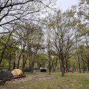 부남면 구천숲 이미지