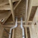 라온하제2호 이미지