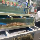마라도생굴구이 네이버블로그