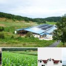 성동목장 이미지