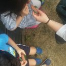 해법 행정사 사무소 네이버블로그
