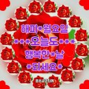 일주일치 사랑 메뉴얼 이미지