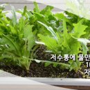 화분들닷컴 - 영도구 샛별길 97 | 화분들닷컴