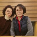 강경젓갈 부여상회 네이버블로그