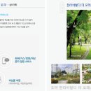 더포레스트 이미지