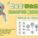 한국쇼핑 Daum카페